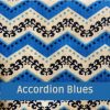 Accordion Blues72