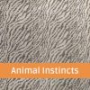 Animal Instincts.BAND