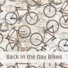 Back in the Day Bikes72