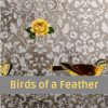 Birds of a Feather