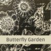 Butterfly Garden