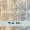 Novel Idea