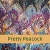 Pretty Peacock