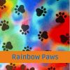 Rainbow Paws.Band
