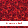 Roses are Red72