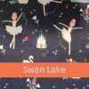 Swan Lake