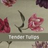 Tender Tulips