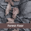 Forest Floor72