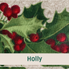 Holly72