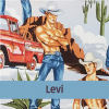 Levi72