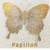 Papillon172