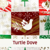 Turtle Dove72