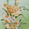 carnation – yellow