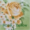 rose – yellow